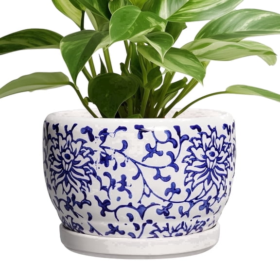 Ordivic White Ceramic Planter 8 inch with Saucer & Drainage Hole, Round Porcelain Flower Pot  for Indoor Outdoor Houseplants & Porch Decor