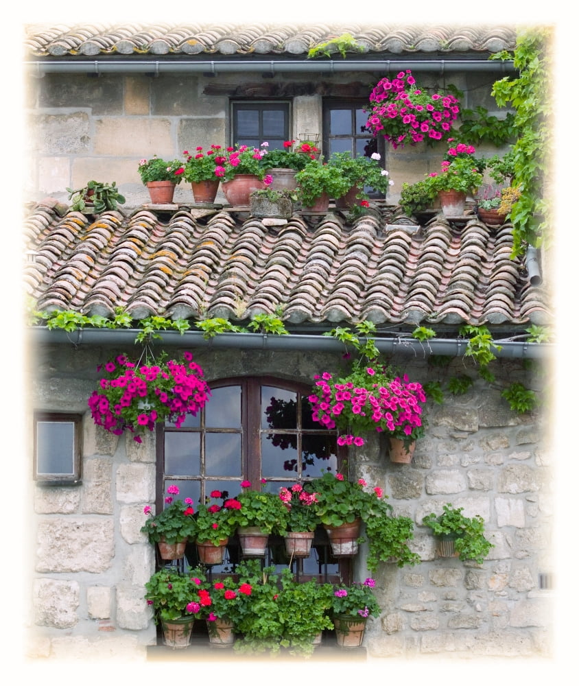 Flower Pots In Windows In Arles Provence France Canvas Art - Carson Ganci Design Pics (12 x 15)