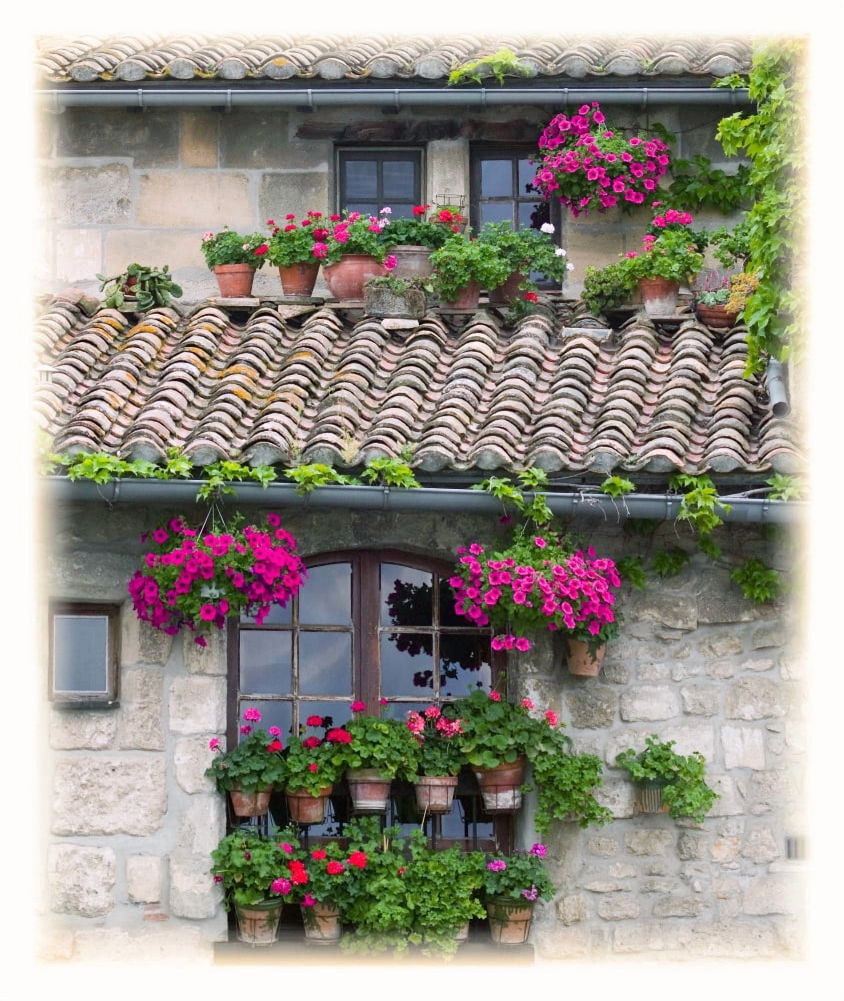Flower Pots In Windows In Arles Provence France Canvas Art - Carson Ganci Design Pics (24 x 30)