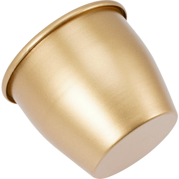 Worgeous Golden Iron Planter Pot for Home Use Elegant Style Strong and Long Lasting 4.5 Inches