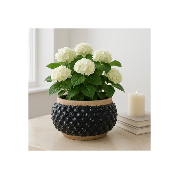 Flower Pots and Planters for Home Decor - Textured Pot for Indoor and Outdoor Display - Unique Design That Enhances House, Garden, and Patio Decor - Bring Style to Every Space - 7" Black & Brown