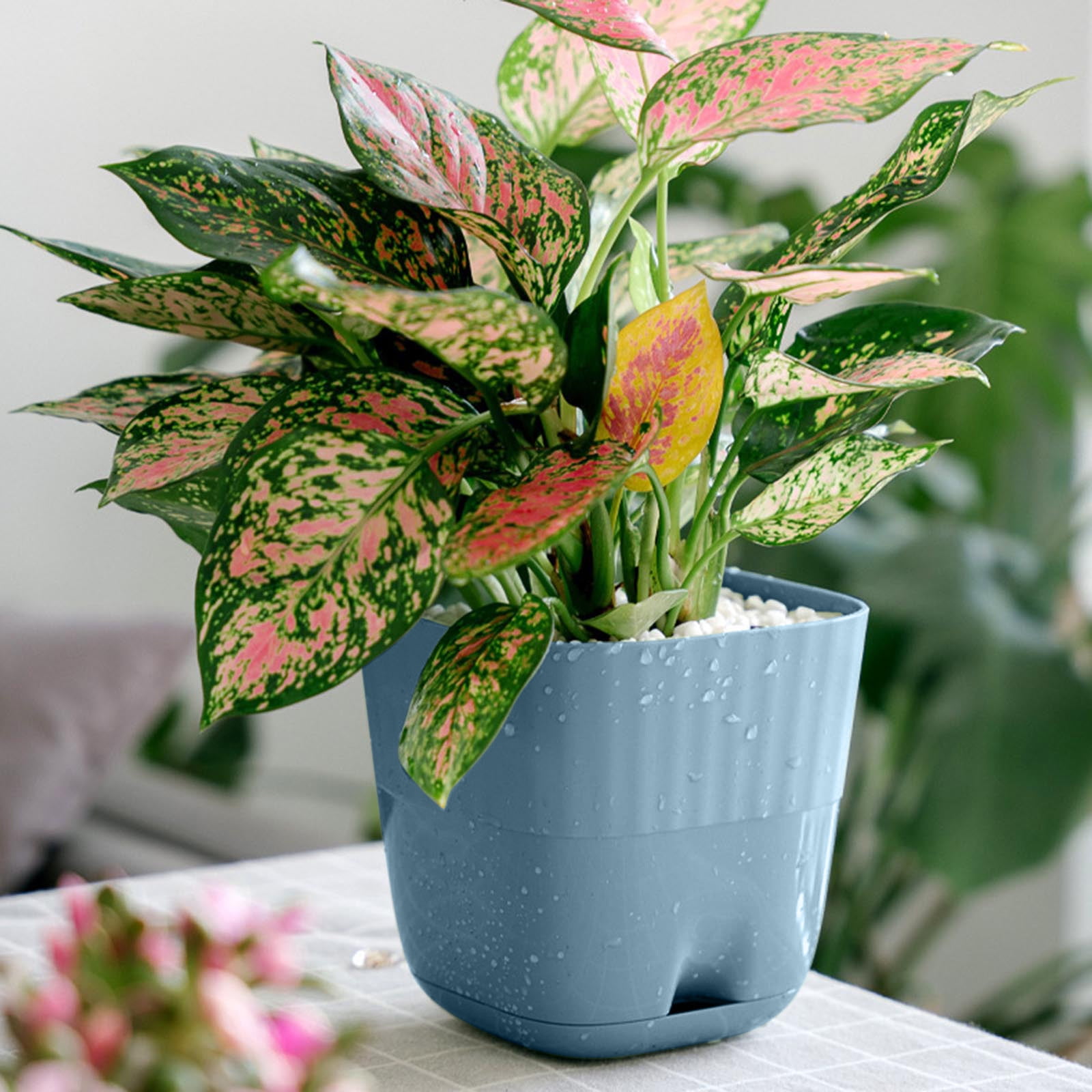 Flower Pots Planters With Multiple Holes And Trays Pots For Indoor