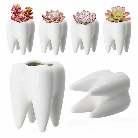 Flower Pots Teeth Succulent Resin Vase Cute Cartoon Flower Pot Home Decoration Ceramic Flowerpot Elegant Design for Indoor