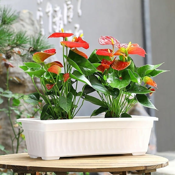Flower Pots for Window Sill and Balcony - Indoor Outdoor Flower Planter with Drain Holes and Tray for Garden Vegetables Nursery Seedlings Easy Pairing