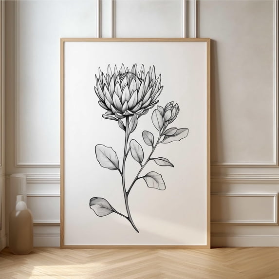 Flower Protea And Botanical Line Art Poster , Poster Print Only ...