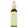 thumbnail image 1 of Flower Remedies Essence White Chestnut - 0.7 fl oz, 1 of 2