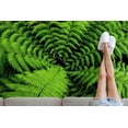 thumbnail image 1 of Flower Rug, Popular Rugs, Front Door Rug, Floral Rug, Pteridophyte Rugs, Fern Rugs, Cool Rugs, Green Rugs, Decorative Rugs, Entry Rug, 5.2'x7.5' - 160x230 cm, 1 of 8