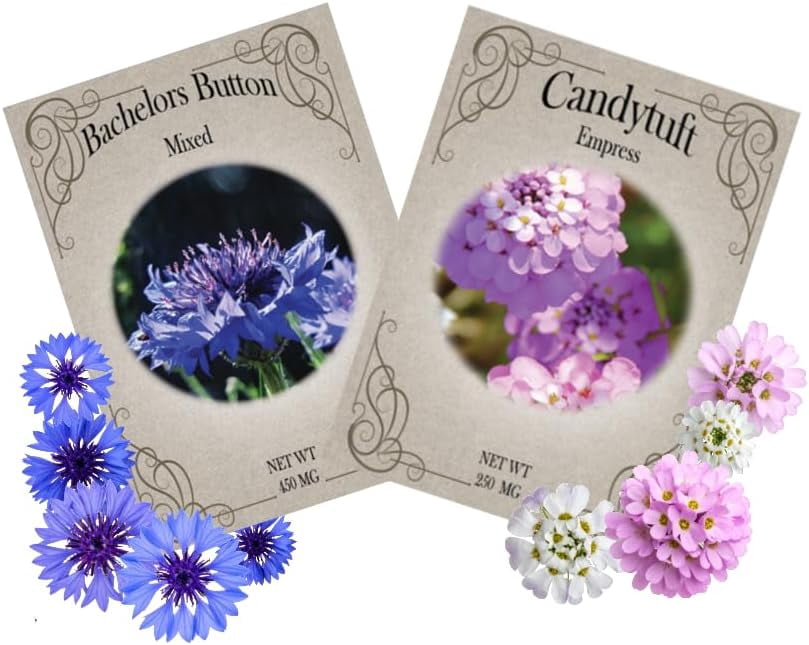 Flower Seed Variety Packs – Bachelor Button & Candytuft