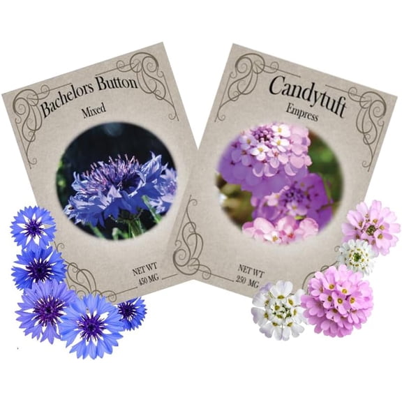 Flower Seed Variety Packs Bachelor Button & Candytuft