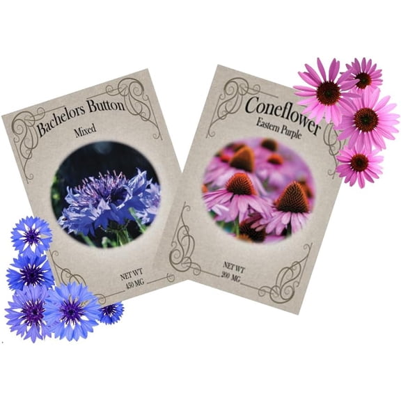 Flower Seed Variety Packs Bachelor Button & Coneflower