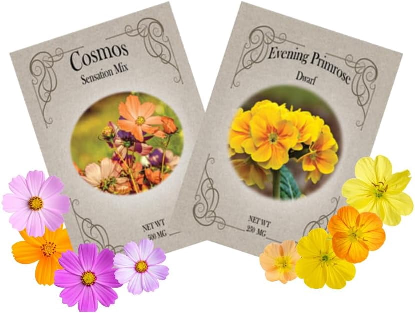 Flower Seed Variety Packs - Cosmos & Evening Primrose