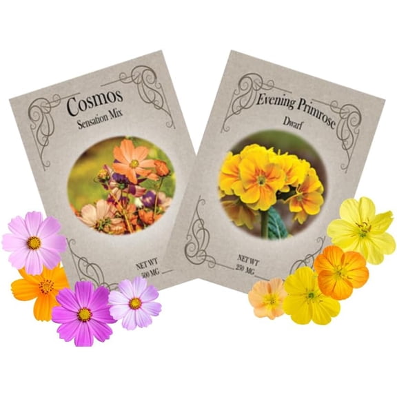 Flower Seed Variety Packs - Cosmos & Evening Primrose