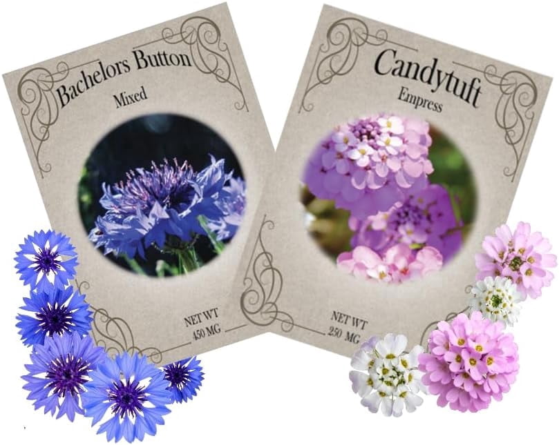 Flower Seed Variety Packs – Multiple Sets & Quantities | Zinnias, Marigolds, Sunflowers & More! | 30–200 Seed Packets | Easy Grow Garden & Pollinator Flowers (Bachelor Button & Candytuft, 50)