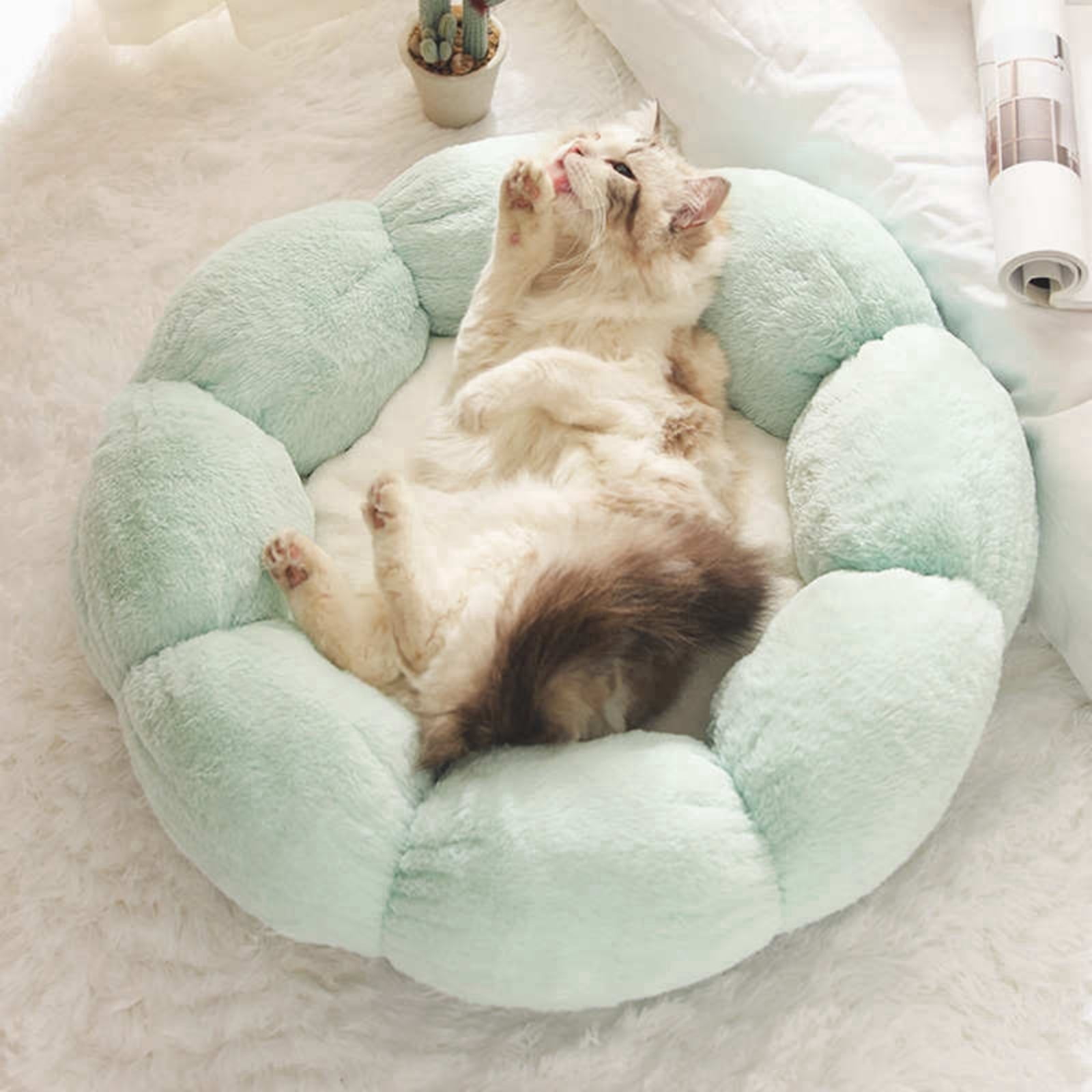 Happy & Polly Cat Bed, Small Dog Bed, Flower Shaped Bolster for Small Breeds, 15.7" Green