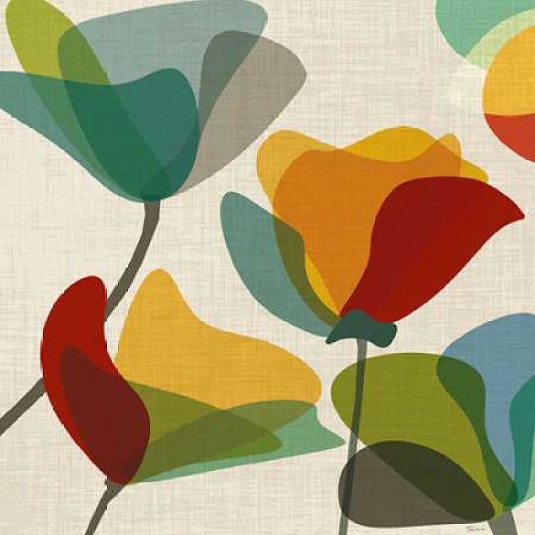 Flower Shapes II Canvas Art - Katrina Craven (24 x 24)