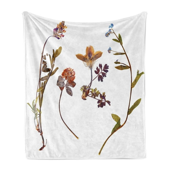 Flower Soft Flannel Fleece Throw Blanket, Book Dried Flowers Lilacs Daisies Tulips Leaves Garden Plants Buds Art Print, Cozy Plush for Indoor and Outdoor Use, 50" x 70", Multicolor, by Ambesonne
