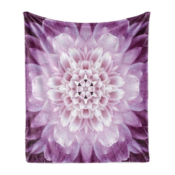 Flower Soft Flannel Fleece Throw Blanket, Close-up Image of a Chrysanthemum Blossom Fresh Spring Gardening Plant, Cozy Plush for Indoor and Outdoor Use, 50" x 60", Violet and Pale Lilac, by Ambesonne