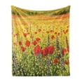 thumbnail image 1 of Flower Soft Flannel Fleece Throw Blanket, Colorful Field Poppies Bloom Flowers Lavender Farmland Hills Scenery, Cozy Plush for Indoor and Outdoor Use, 70" x 90", Yellow Red Green, by Ambesonne, 1 of 5