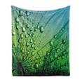 thumbnail image 1 of Flower Soft Flannel Fleece Throw Blanket, Floral Theme Macro Photo of Dandelion with Water Drops Digital Image Print, Cozy Plush for Indoor and Outdoor Use, 50" x 60", Fern Green, by Ambesonne, 1 of 6
