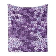 thumbnail image 1 of Flower Soft Flannel Fleece Throw Blanket, Lilac Flowers Blossoms in Spring Romantic Meadow Happy Fun Countryside Print, Cozy Plush for Indoor and Outdoor Use, 70" x 90", Purple White, by Ambesonne, 1 of 5