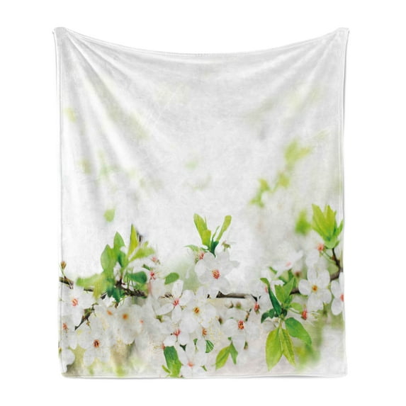 Flower Soft Flannel Fleece Throw Blanket, White Springtime Blossoms on Tree Branch Freshness Garden Growth Seasonal Nature, Cozy Plush for Indoor and Outdoor Use, 60" x 80", White Green, by Ambesonne