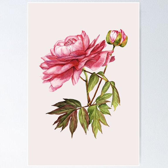 Flower Spirits In The Forest Comforter - Simple Floral Art Poster Wall Art, Modern Wall Decor For Living Room Bedroom, 12x18 UNFRAMED