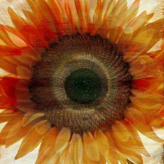 "Flower Strokes III" Painting Print on Wrapped Canvas