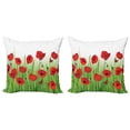 thumbnail image 1 of Ambesonne Poppy Flower Throw Pillow Cover 2 Pack, Butterfly Flower, 24", Green and Red, 1 of 6