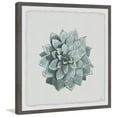 thumbnail image 1 of Flower Top View II Framed Painting Print, 1 of 6