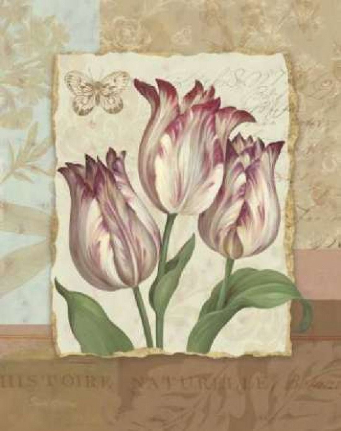 Flower Trio I Canvas Art - Pamela Gladding (24 x 30)