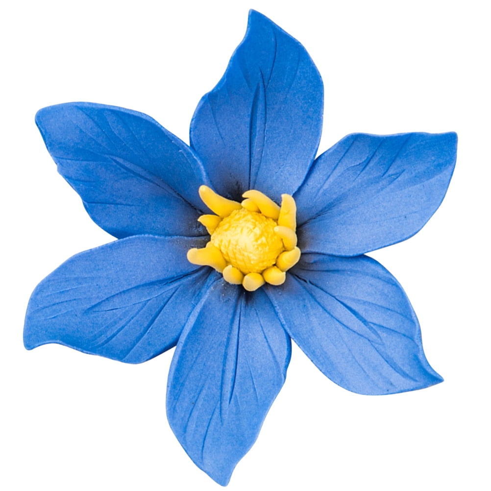 Flower Wall Hangings Plant Decor Ceramic Flower Wall Flower Wall Art