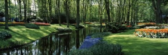 Flower beds and trees in Keukenhof Gardens Lisse Netherlands Canvas Art - Panoramic Images (36 x 12)