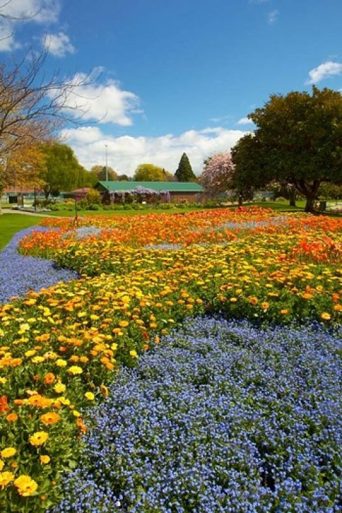 Flower garden Pollard Park Blenheim Marlborough South Island New Zealand (vertical) Canvas Art - David Wall DanitaDelimont (24 x 36)