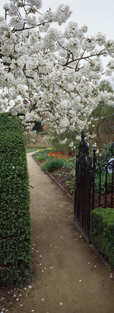 Flower garden York North Yorkshire England Canvas Art - Panoramic Images (13 x 36)