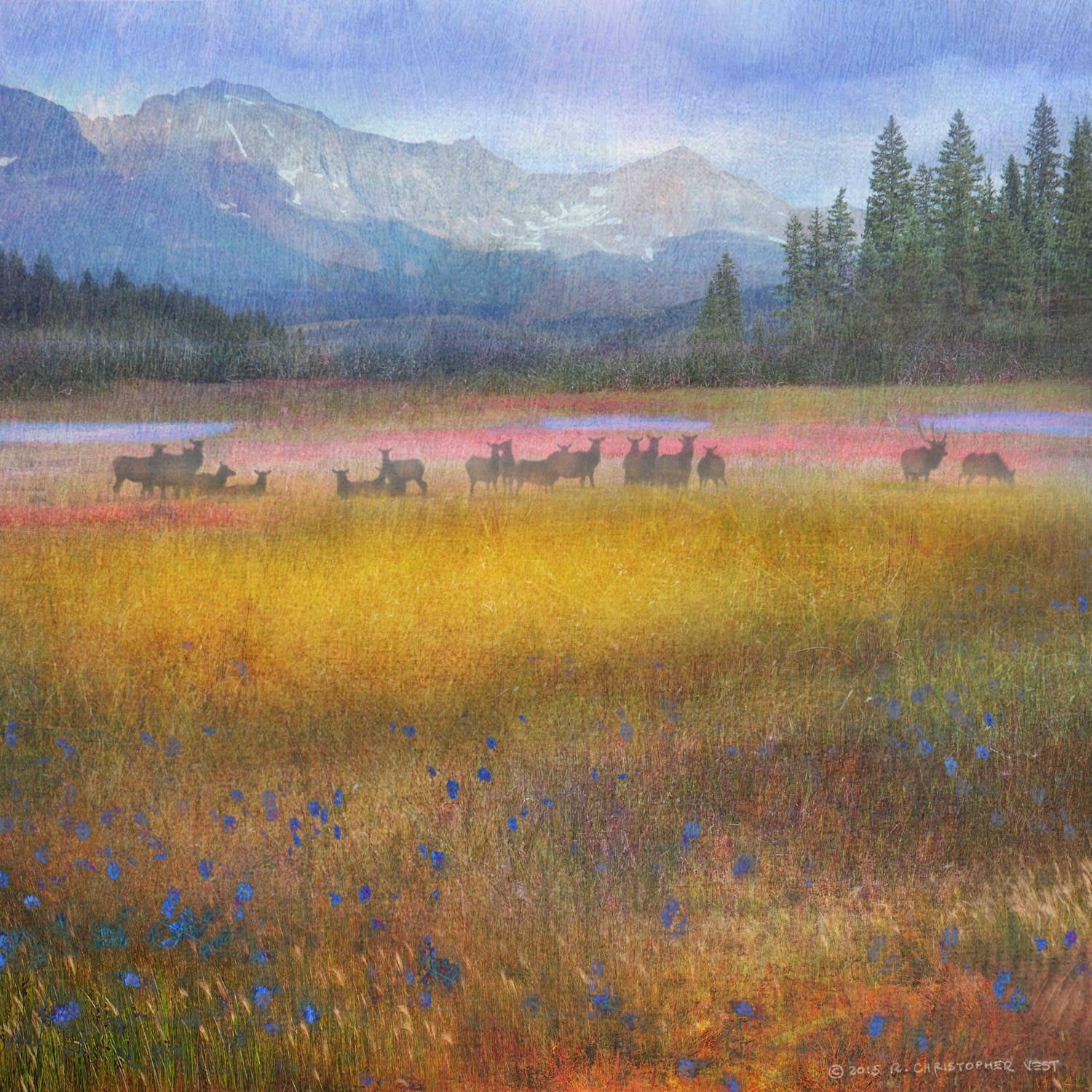 "Flowered Meadow Elk" Painting Print on Wrapped Canvas