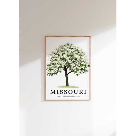 Flowering Dogwood Tree Poster: Missouri State Symbol Art, Unframed Canvas Size 8x12