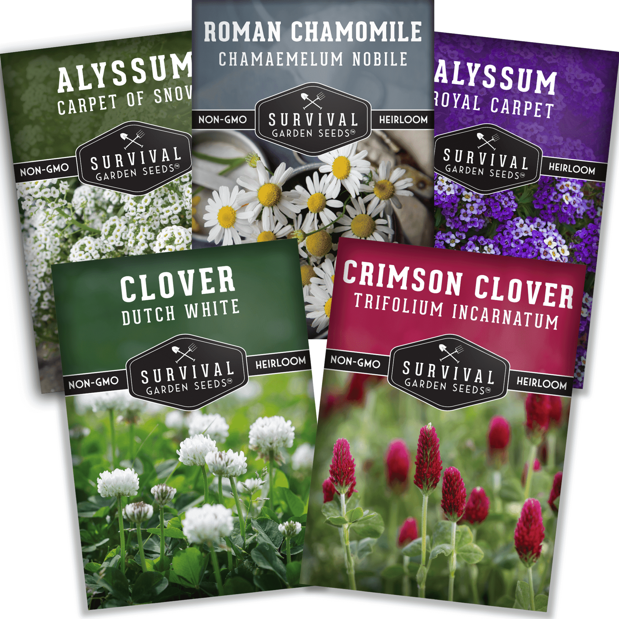 Flowers Perennial Seeds