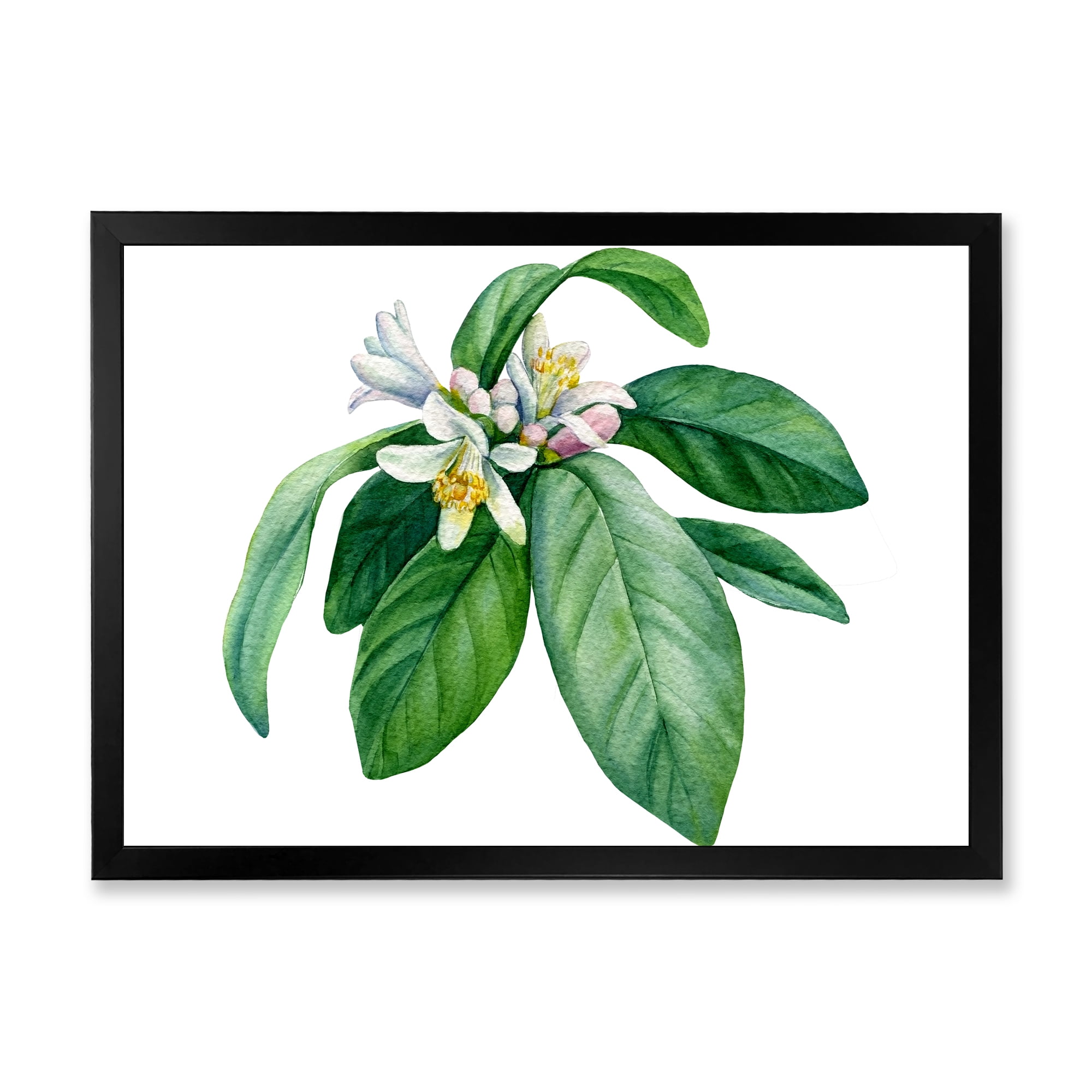 Flowering Mandarin With Branch 20 in x 12 in Framed Painting Canvas Art Print, by Designart