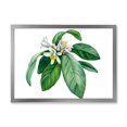 thumbnail image 1 of Flowering Mandarin With Branch 20 in x 12 in Framed Painting Canvas Art Print, by Designart, 1 of 4