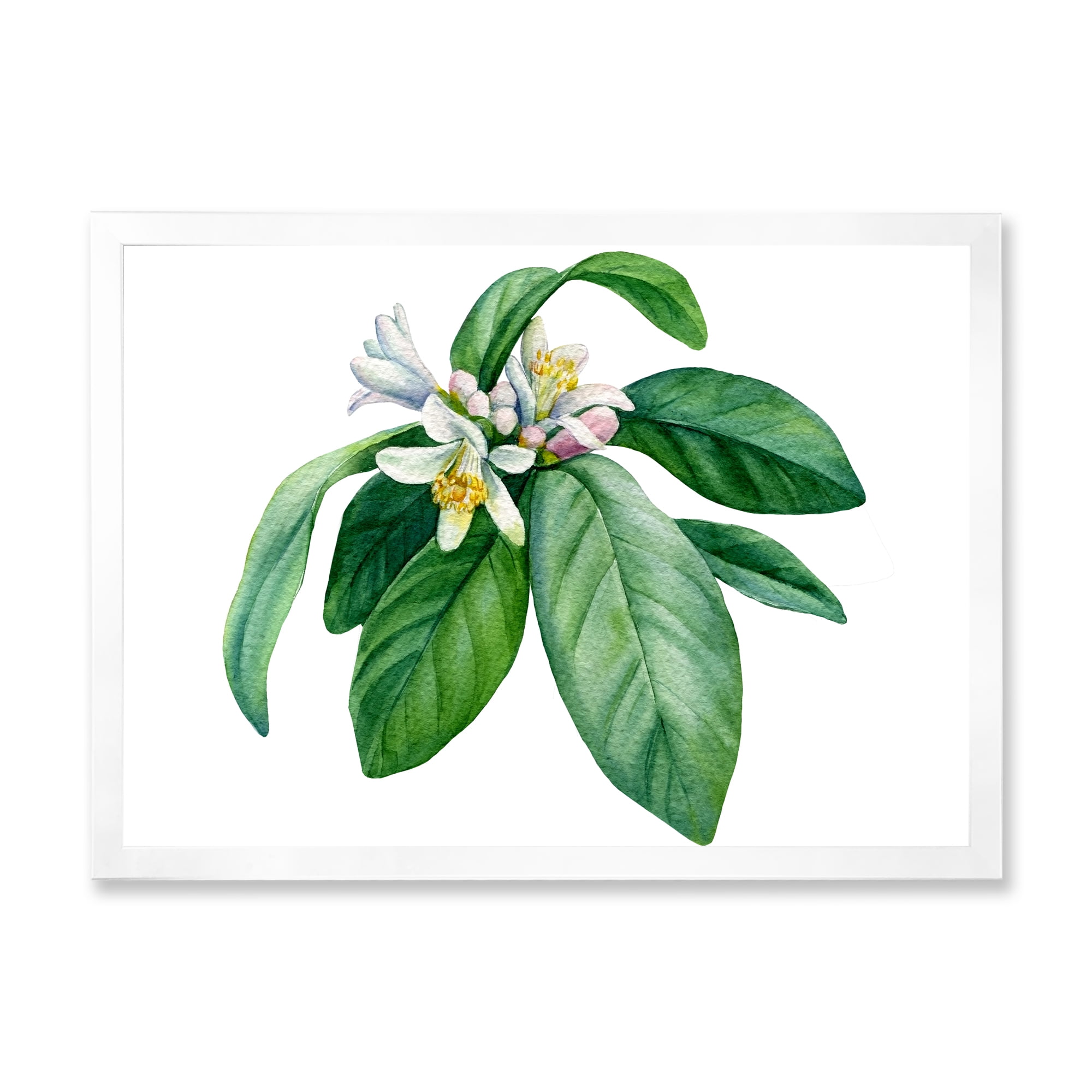 Flowering Mandarin With Branch 32 in x 16 in Framed Painting Canvas Art Print, by Designart
