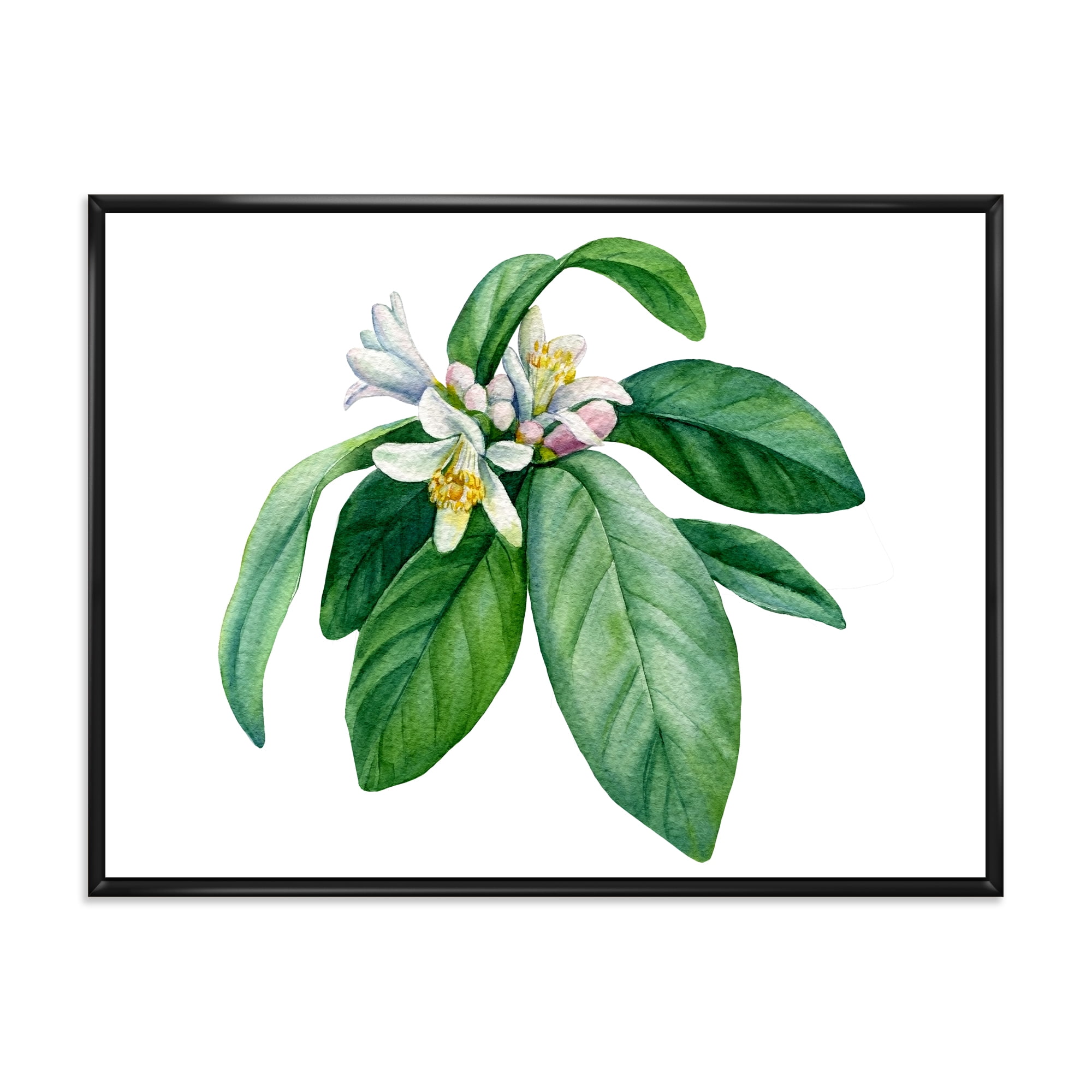 Flowering Mandarin With Branch 32 in x 16 in Framed Painting Canvas Art Print, by Designart