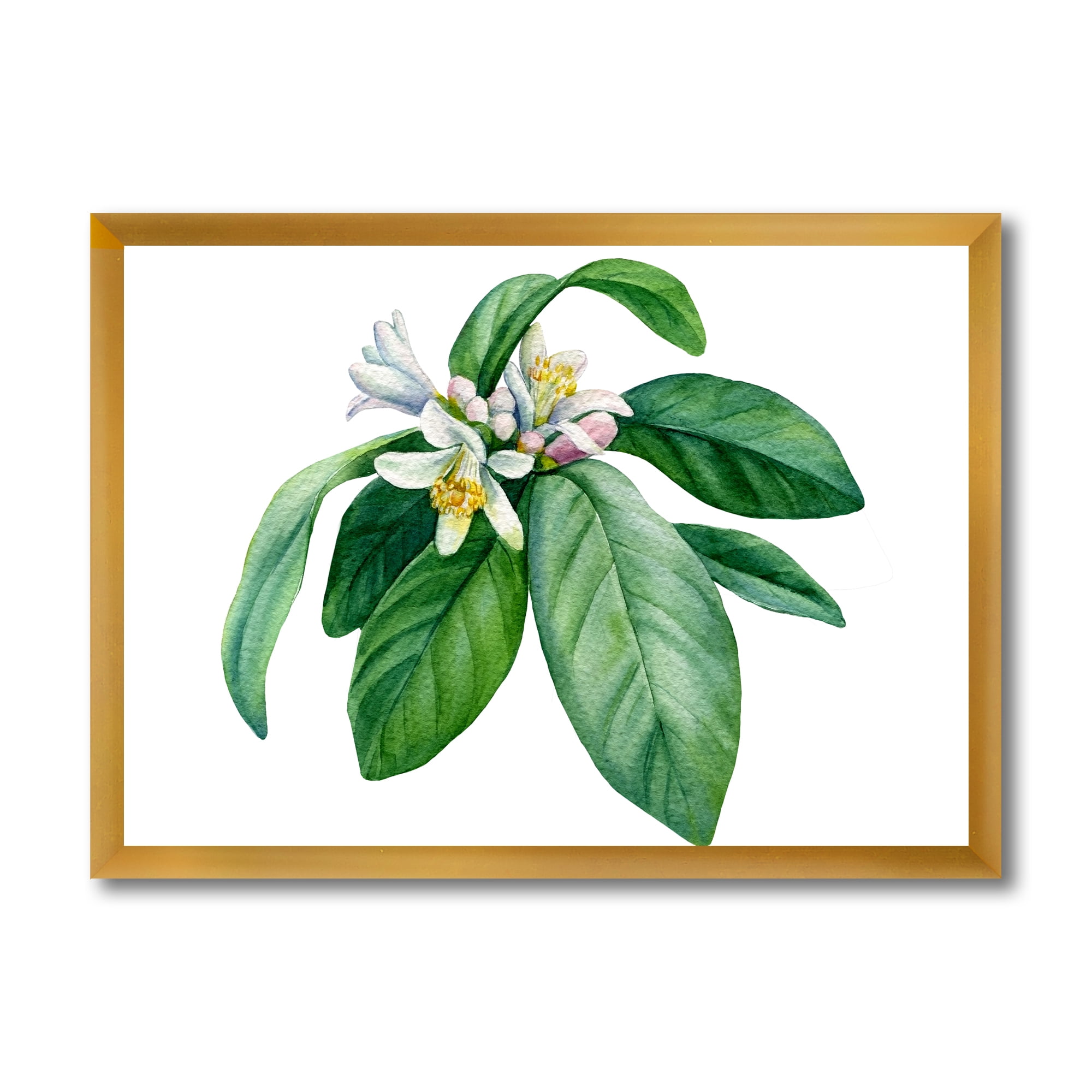 Flowering Mandarin With Branch 32 in x 16 in Framed Painting Canvas Art Print, by Designart