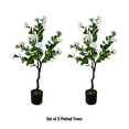 thumbnail image 1 of Flowering Natural White Artificial Camellia Tree 40" High (Clearance), 1 of 5