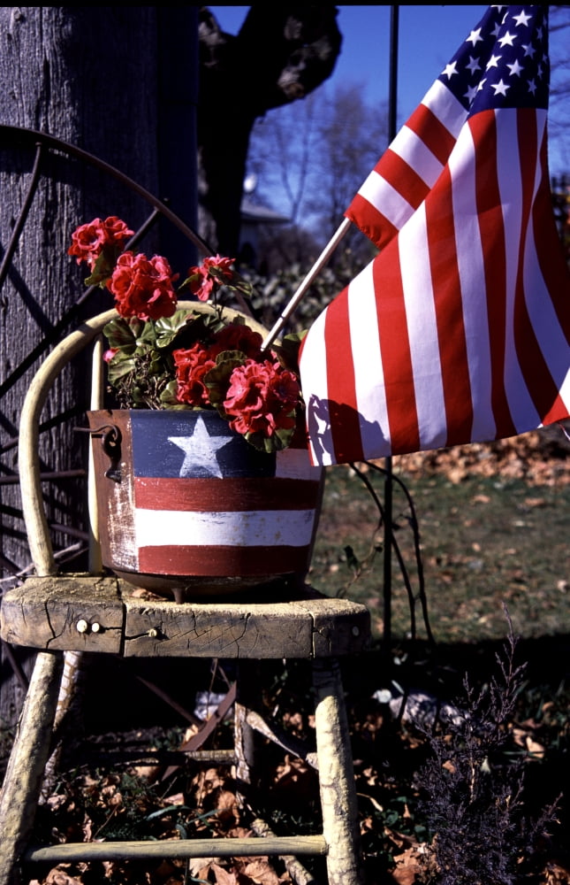 Flowering Patriot Canvas Art - Doug Ohman (12 x 18)