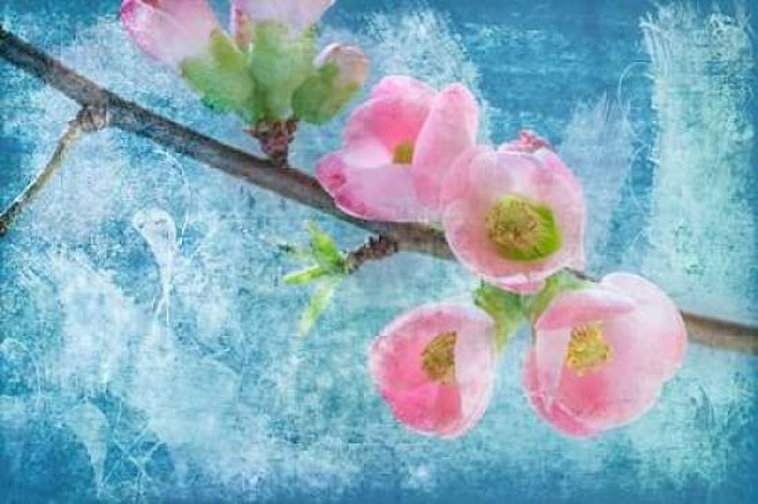 Flowering Quince III Canvas Art - Kathy Mahan (24 x 36)
