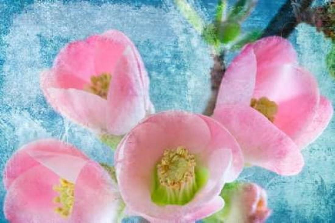 Flowering Quince IV Canvas Art - Kathy Mahan (24 x 36)