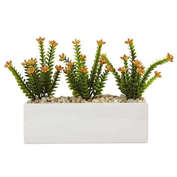 Nearly Natural Flowering Sedum with Planter in Green