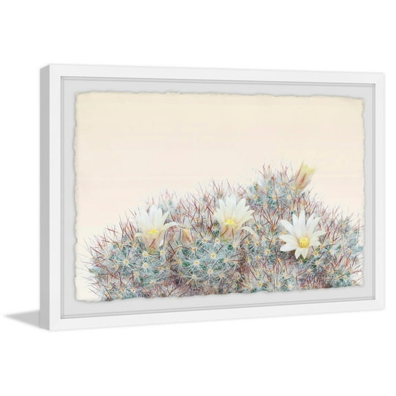 Flowering Succulent Framed Painting Art Print, 12.00" x 1.50"