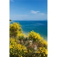 thumbnail image 1 of Flowering broom at coastal landscape  Makarska Riviera  Dalmatia  Croatia Poster Print (27 x 9), 1 of 1