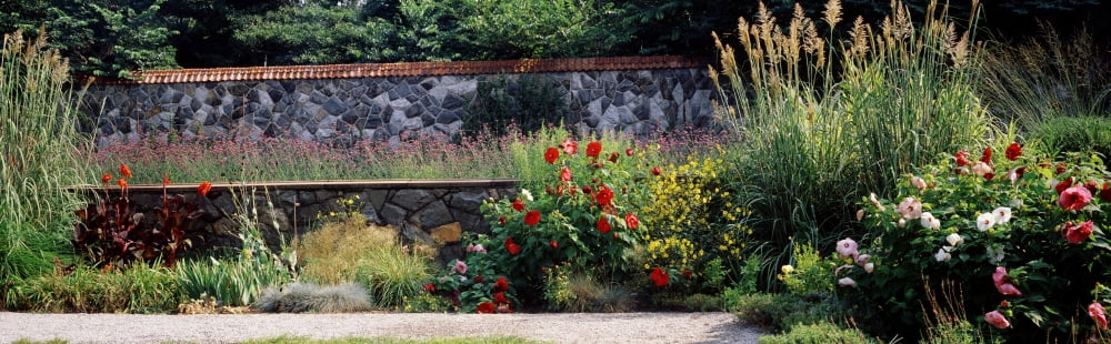 Flowering plants in a garden Biltmore Estate Asheville North Carolina USA Canvas Art - Panoramic Images (12 x 39)